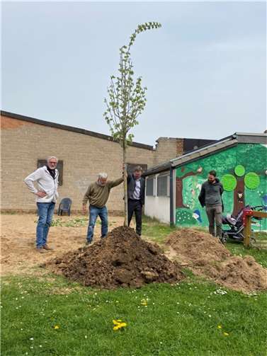 Auch eine Silberlinde wurde gepflanzt.