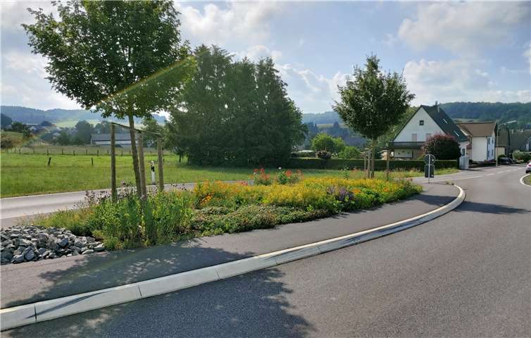 Auch für Bienen wirkt die bunt blühende Fläche sehr anziehend. Foto: privat