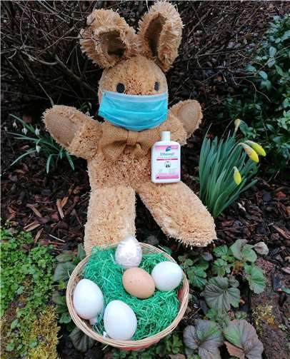 Auch für den Osterhasen gilt die AHA-Regel. Fotos: SCHÜ