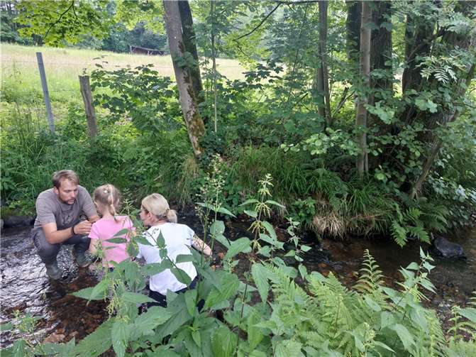 Auch im Bach konnten die Kinder beim Ausflug spannende Tiere entdecken.  Foto: Pflegekinderdienst / Claudia Schatz