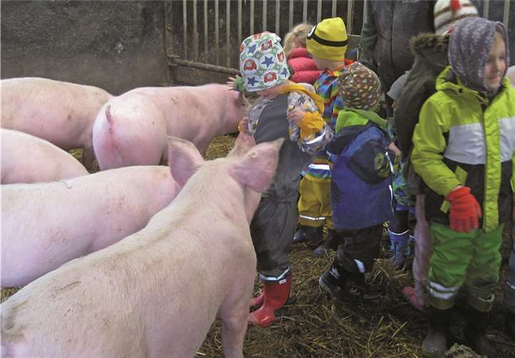 Auch im Schweinestall gab es Tiere zum Anfassen.privat