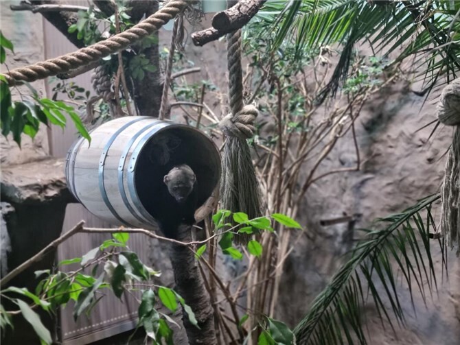Auch im Zoo Neuwied wird seit 2017 immer im November eine Wunschliste zusammengestellt.  Foto: Franziska Waked