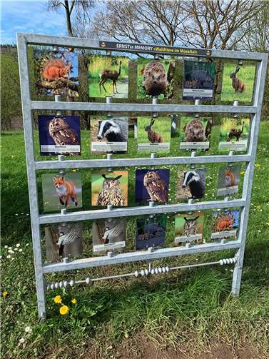 Auch in Ochtendung könnten Memory-Stationen mit lokalen Themenfeldern entlang der Wanderwege entstehen. Foto: Frank Hastenteufel