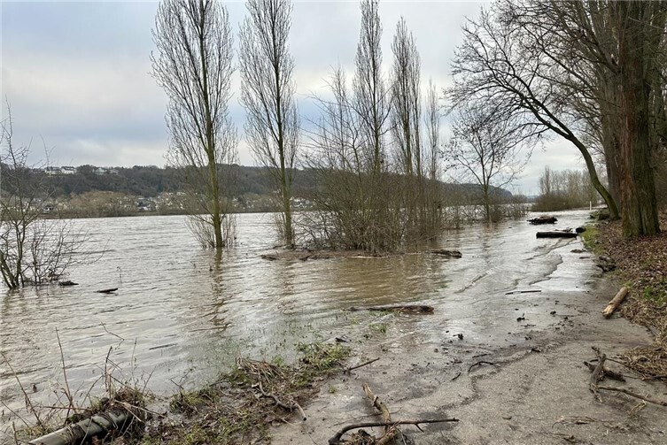 Auch in Sinzig ist der erhöhte Wasserstand des Rheins sichtbar. 