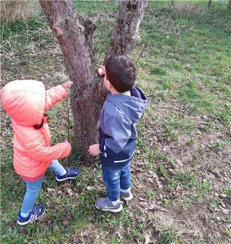 Auch in der Kindertagesstätte Arche Noah wurden viele Eier gesucht und gefunden.Foto: privat