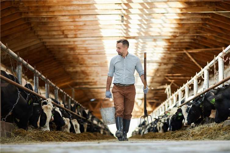 Wie ein nachhaltiges Deutschland aussehen könnte Auch in der Landwirtschaft muss sich einiges ändern, wenn Deutschland und auch die Welt nachhaltiger werden sollen. Quelle: @pressmaster #218741914/ Fotolia.com