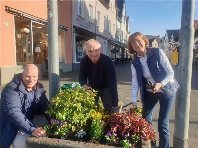 Auch in diesem Jahr hat die CDU Rheinbach einen Beitrag zur Begrünung der Innenstadt geleistet. Foto: CDU