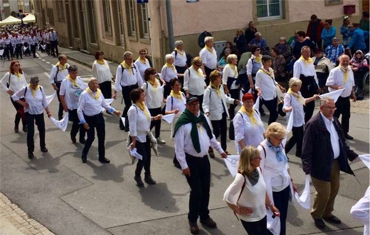 Auch in diesem Jahr nahm wieder eine große Gruppe aus Rübenach und Umgebung an der Echternacher Springprozession teil. Foto: privat