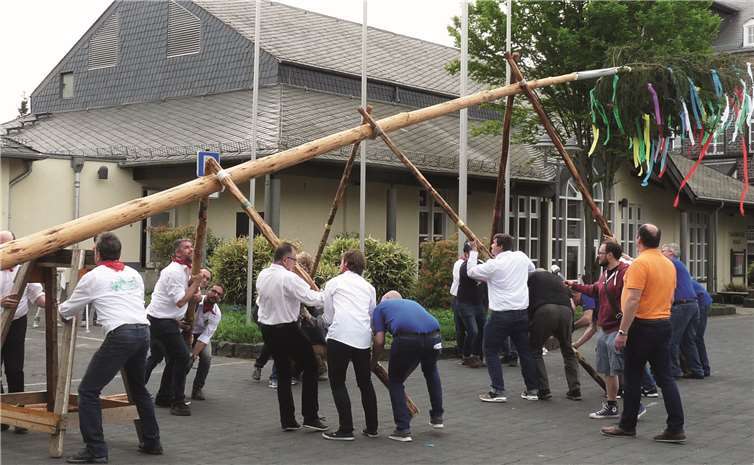 Auch in diesem Jahr stellten die Prinzengardisten gemeinsam mit vielen Helfern den rund 20 Meter hohen Maibaum nach alter Väter Sitte unter dem Einsatz von „Schwalben“ auf.