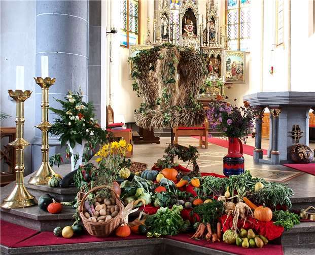 Auch in diesem Jahr werden die Mitglieder des Plaidter Gartenvereins wieder die Erntekrone schmücken, um sie in St. Willibrord aufzustellen. Privat