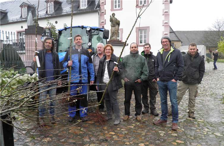 Auch in diesem Winter folgten zahlreiche Streuobst-Interessenten dem Angebot der Kreisverwaltung Neuwied, junge Apfelbäume alter Sorten für den Garten oder die Wiese im Rondellhof der Abtei Rommersdorf abzuholen.Kreisverwaltung