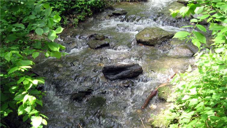 Auch kleinere Bäche können bei Starkregen für Gefahr sorgen.Foto: Stadt Neuwied