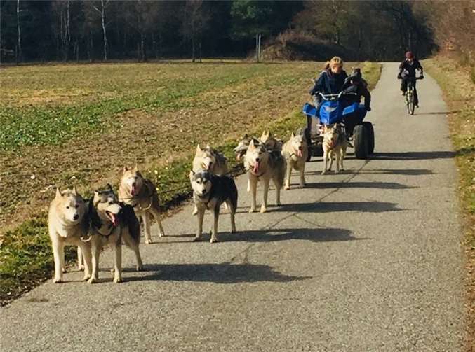 Auch mit dem Quad ging es rasant auf die Piste.