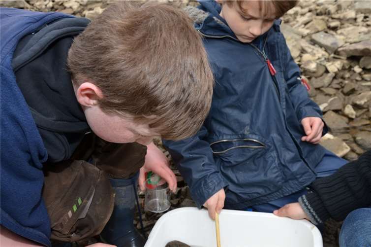 Auch viele Kleinstlebewesen konnten die Kinder im Wasser entdecken.