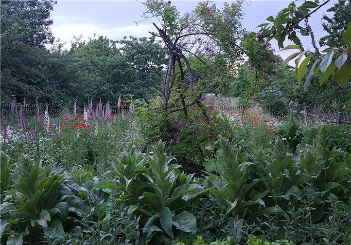 Auch viele Tiere fühlen sich hier wohl – vorausgesetzt, sie finden genug Nahrung, Nistmöglichkeiten und Verstecke.Foto: NABU Montabaur