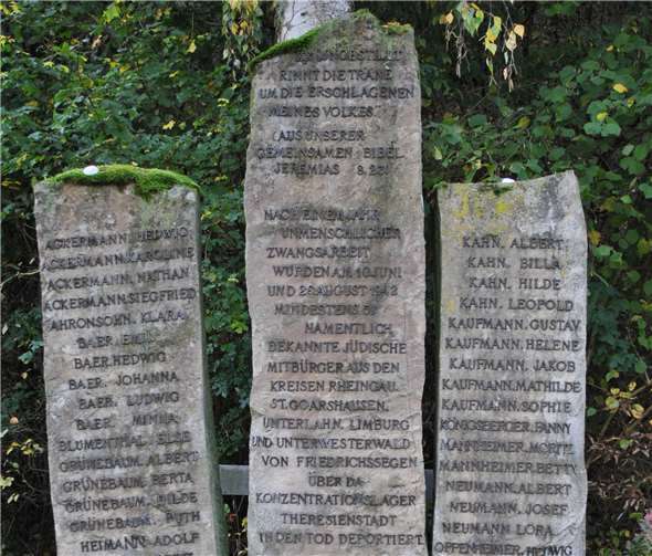 Auch von den 14 Herschbacher Juden sind vier aufgeführt.Foto: privat