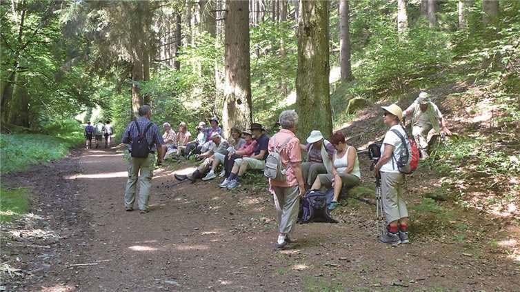 Auch während einer Rast hatten die Mitglieder des Eifelvereins Linz Gelegenheit die schöne Natur der Eifel zu betrachten.privat