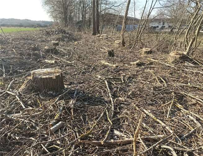 Auch wenn Fahrradwege neu angelegt werden rechtfertigt es nicht, begleitend einen derartig rigorosen Kahlschlag durchzuführen, meinen die Parents for Future Wachtberg. Foto: privat