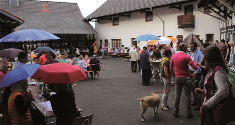 Auch wenn die Wolken mitunter bedrohlich wirkten, erschien eine Vielzahl von Gästen zum Köllenhoffest. privat
