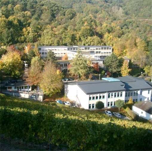 Auch zukünftige Neuzugänge, zum Beispiel in den Klassen sieben und elf, bekommen Einblicke in das Schulleben beider Schulen.privat