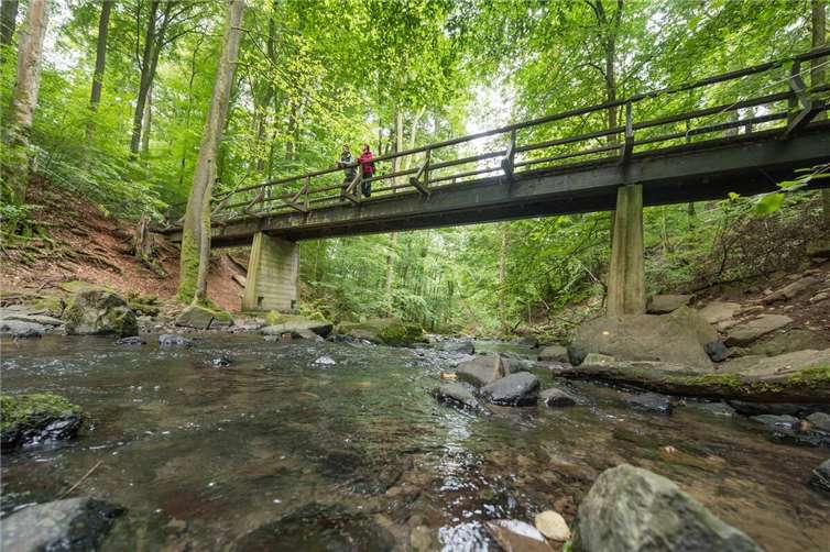 Auf Etappe 4 wartet mit der Holzbachschlucht ein besonderes Naturhighlight.Foto: Andreas Pacek