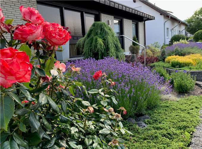 Auf Fotos sollen die schönsten Vorgärten in der Verbandsgemeinde festgehalten und diese prämiert werden. Foto: Pro-Mendig.de