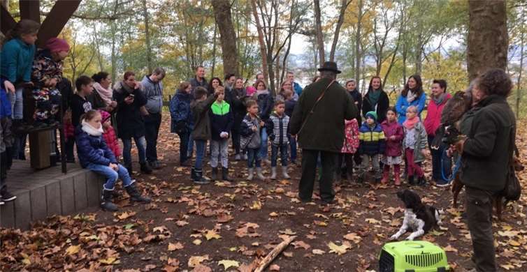 Auf Hochsitze klettern, den Wald erkunden und Bekanntschaft mit Raubvögeln machen, dies und vieles mehr erlebten die Schüler der 1. Klasse rund um die Grillhütte Hümmeroth.privat