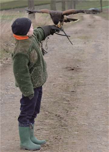 Auf Kinder wird dem Greifvogel-Spaziergang besonders eingegangen. privat