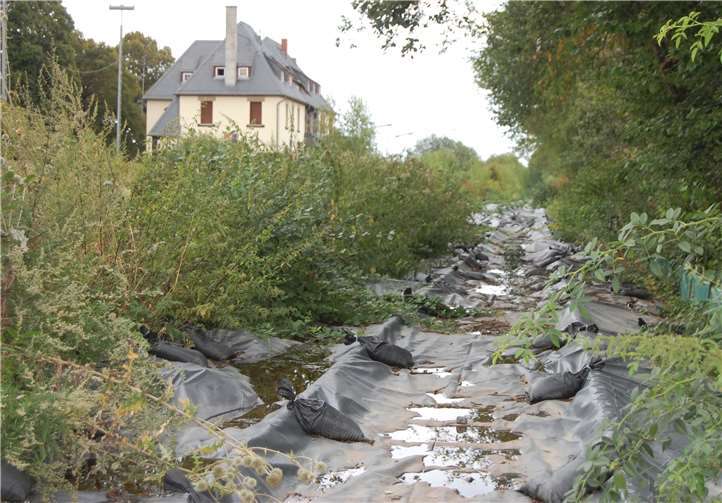 Auf Ochtendunger Seite mussten Mauer- und Zauneidechsen auf einer Strecke von 1,5 Kilometern umgesiedelt werden. Aus diesem Grund wurden solche Folien ausgelegt.