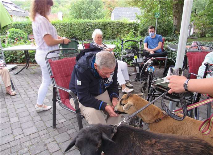 Auf Streicheleinheit gingen die Bewohner mit den Schafen.