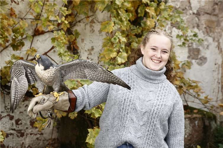 Auf Tuchfühlung mit Greifvögeln.
