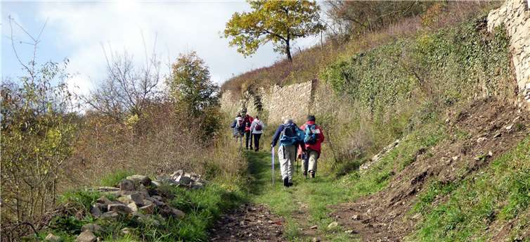 Auf Weinberg- und Waldwegen führte die Wanderung von Spay nach Boppard.Günter Hussong