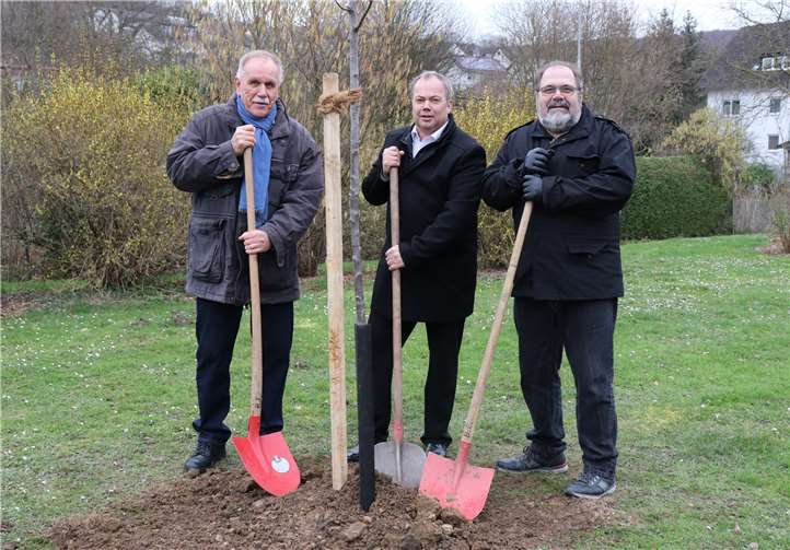 Auf Wunsch der Bürger wurde der Erpeler Baum an der Heisterer Straße gepflanzt. Foto: privat
