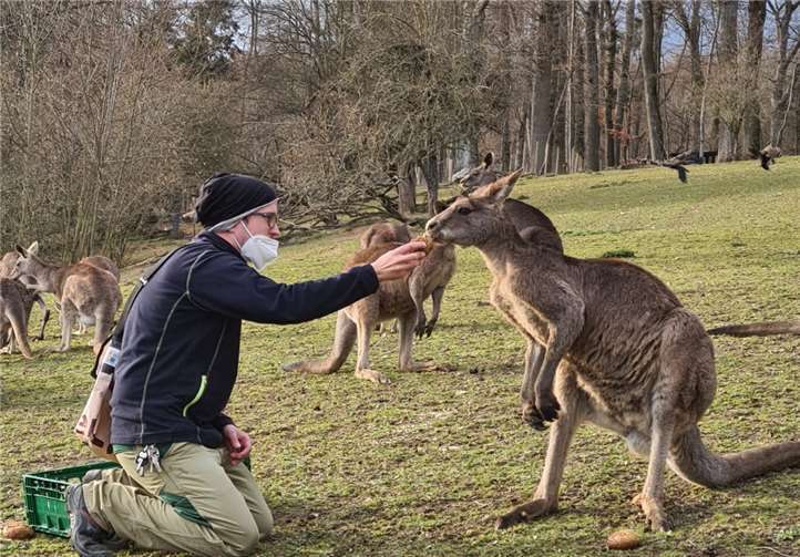 Auf beiden Seiten muss ein Vertrauensverhältnis aufgebaut werden.