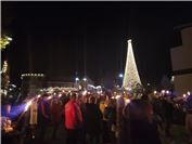Auf dem 18 Meter hohen Zunftbaum leuchten 10 000 LEDs.