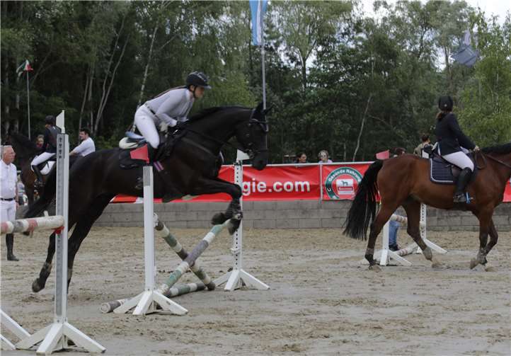 Auf dem Abreiteplatz wärmten sich Pferde und Reiter auf.