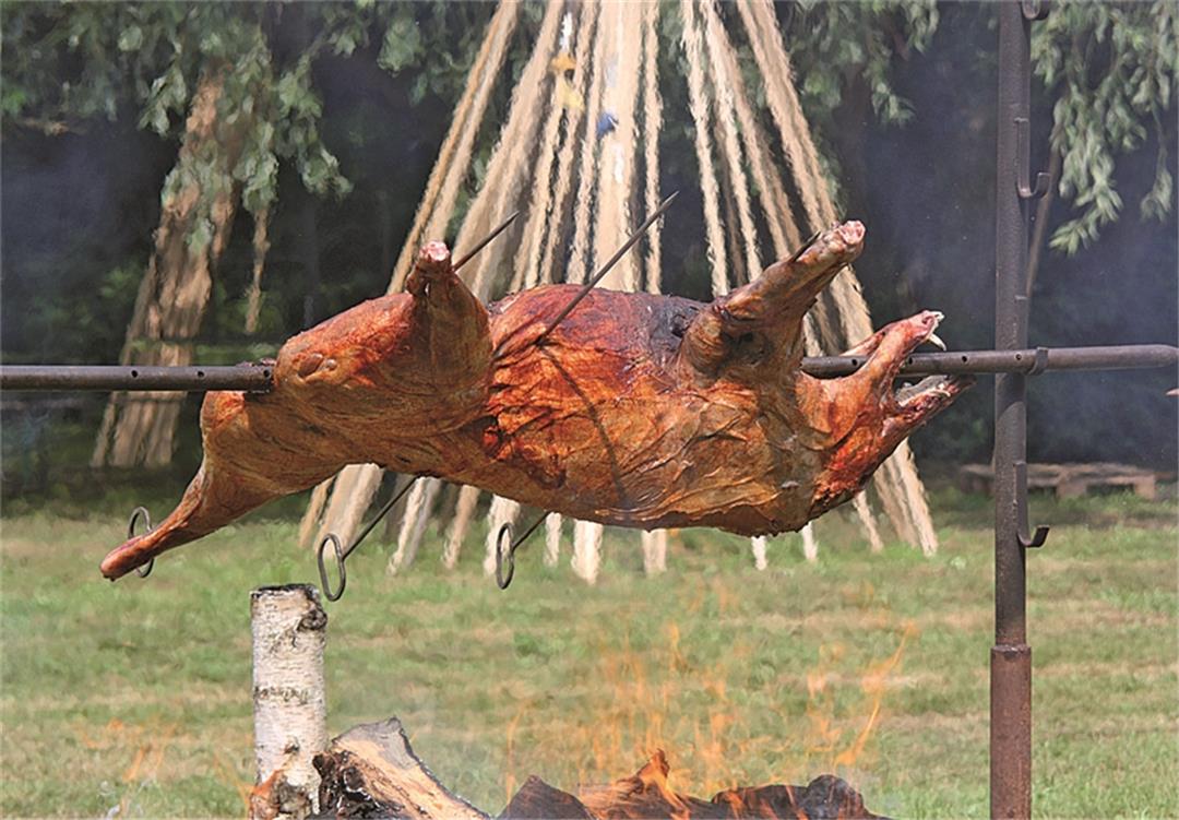 Iglo Seemanns-schmaus Gibt Es Nicht Mehr „Schmaus in Saus & Braus“
