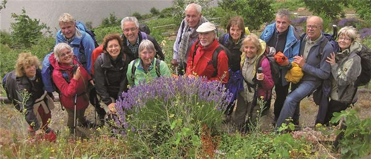 Auf dem Blumenweg hinab nach Mehring. privat