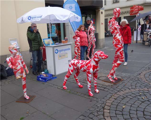 Auf dem Bonner Münsterplatz wurde ein Infostand aufgestellt. Foto: privat
