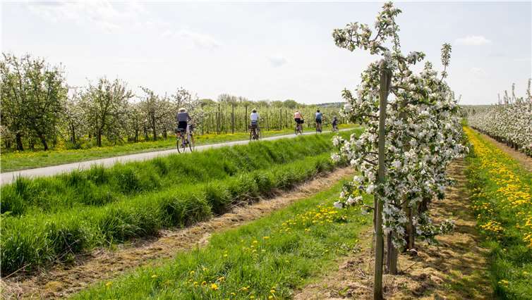 Auf dem Fahrrad lässt sich die die Natur- und Kulturlandschaft der Region Rhein-Voreifel ohne Gedränge und Menschenmengen erleben. Foto: Monique Lebahn, RVT