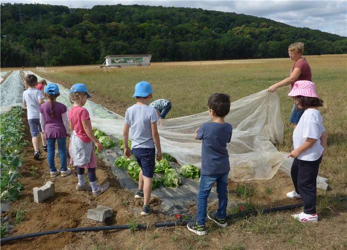 Auf dem Feld konnten die Kinder erfahren, wie Gartenarbeit auf dem Hof funktioniert.Foto: Privat