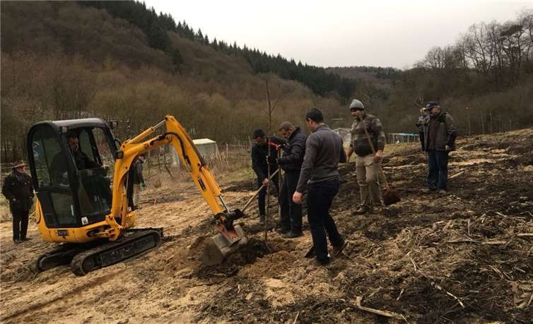 Auf dem Gelände des Gemeindegartens der Stadt Adenau am Alten Wehr wurde eine Streuobstwiese gepflanzt. privat
