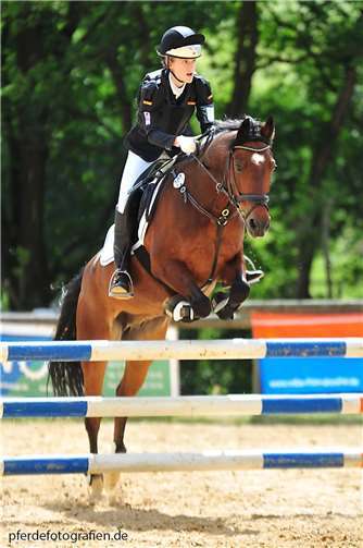 Auf dem Gestüt Geisbüschhof in Mayen finden am 19., 20. sowie 26. und 28. August spannende Turniere statt.  Foto: privat