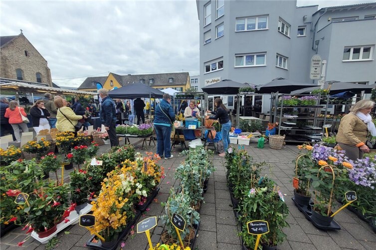 Auf dem Kirchplatz finden Gartenfans alles, was das Herz begehrt.