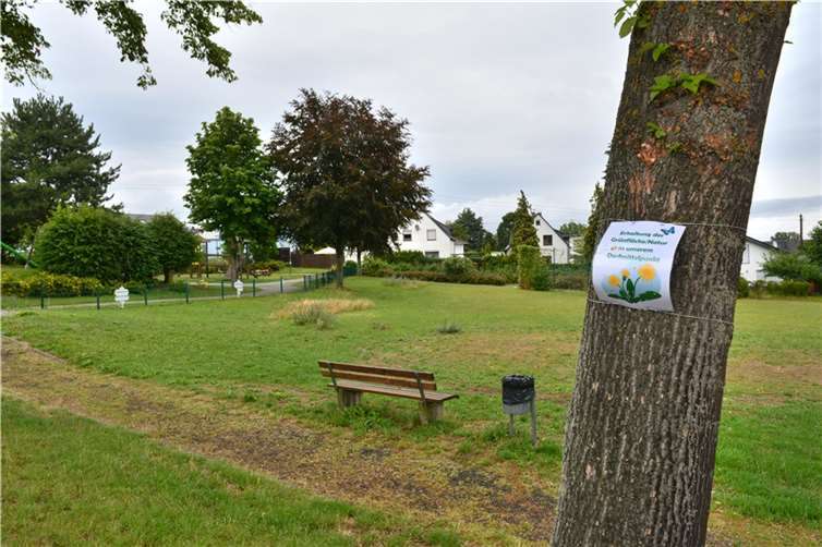 Auf dem Mosellaplatz in Hausen soll ein Seniorenwohnpark gebaut werden.  Foto: Archiv/CF