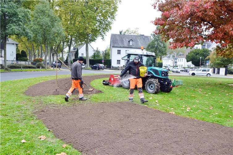 Auf dem Mozartplatz wurden auf einem drei Meter breiten Streifen Wildblumensamen ausgebracht. Dank weiterer Einsaaten wächst die Zahl der insektenfreundlichen Wiesen im Stadtgebiet weiter an. Foto: Stadt Koblenz/Verena Groß