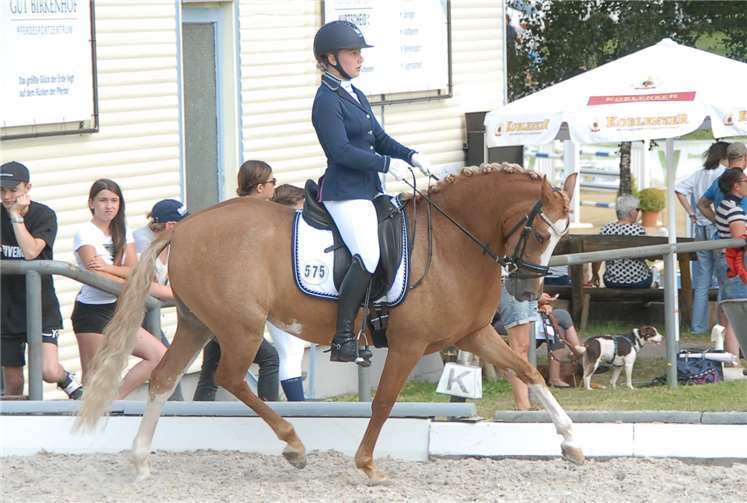 Auf dem Sandviereck im Rosengarten des RV Kurtscheidwurde an drei Tagen hochkarätig Dressur geritten. Dieses Ponyqualifizierte sich für das Bundeschampionat der Dressurponys.