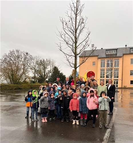 Auf dem Schulhof der Grundschule in Mendig fand vor Kurzem eine Pflanzaktion statt.  Foto: privat
