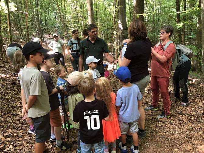 Auf dem Weg konnten Kinder, Eltern und Großeltern neben den typischen Waldbäumen spannende Lebewesen wie Pilze, Käfer und sogar einen Grasfrosch entdecken. Foto: May