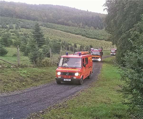 Auf dem Weg zur Rheinbrohler Waldschule ...privat